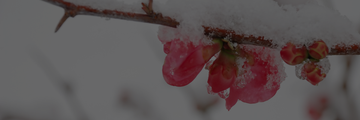 Org Restructurings and Employee Transitions